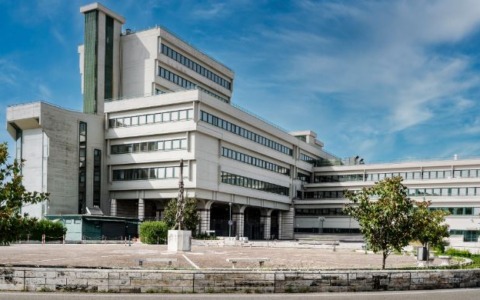 Donna condannata per aver ferito il compagno durante una lite