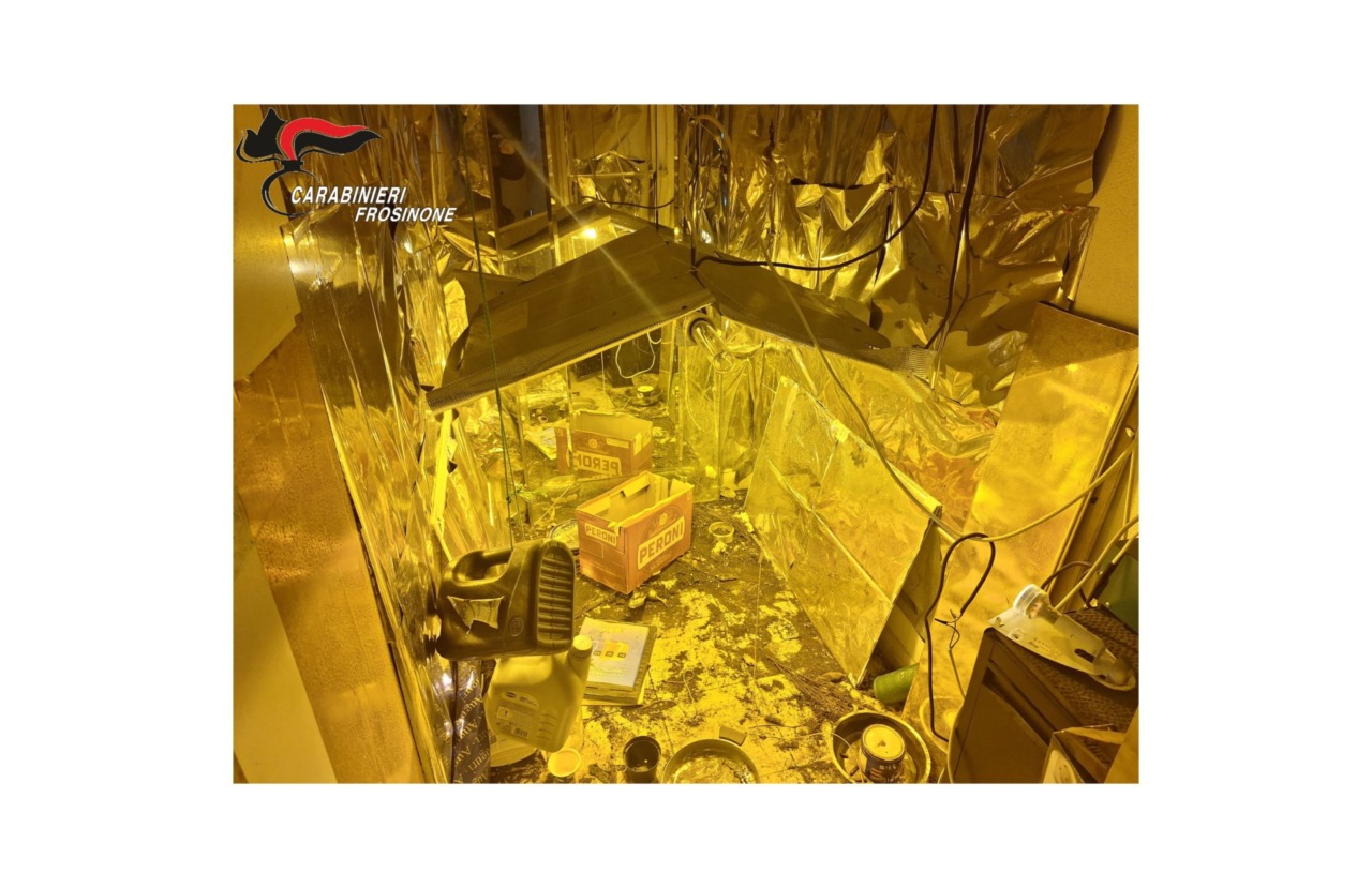 Operazione contro lo spaccio di marijuana: arrestato un 63enne