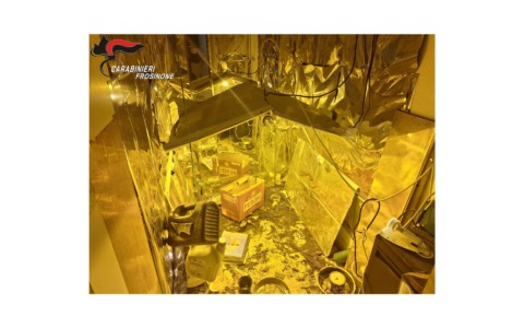 Operazione contro lo spaccio di marijuana: arrestato un 63enne