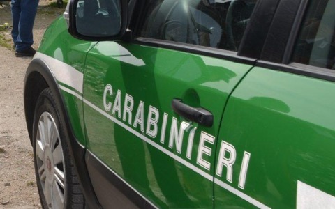 Sequestrata area di 1500 m² per smaltimento illecito di terre e rocce da scavo