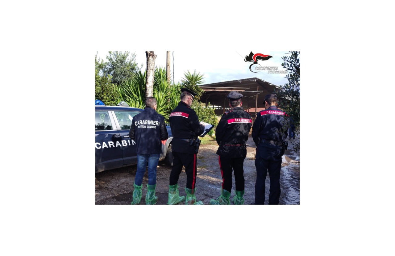 Sospesa un’azienda agricola per gravi irregolarità riscontrate durante i controlli