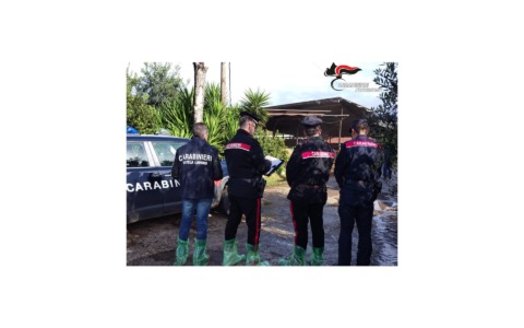 Sospesa un’azienda agricola per gravi irregolarità riscontrate durante i controlli