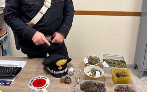 Scoperta marijuana in casa, 61enne denunciato