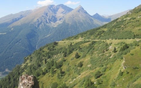 Un uomo di 52 anni muore durante una battuta di caccia al cinghiale