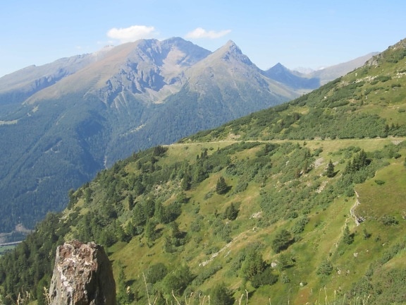 Un uomo di 52 anni muore durante una battuta di caccia al cinghiale