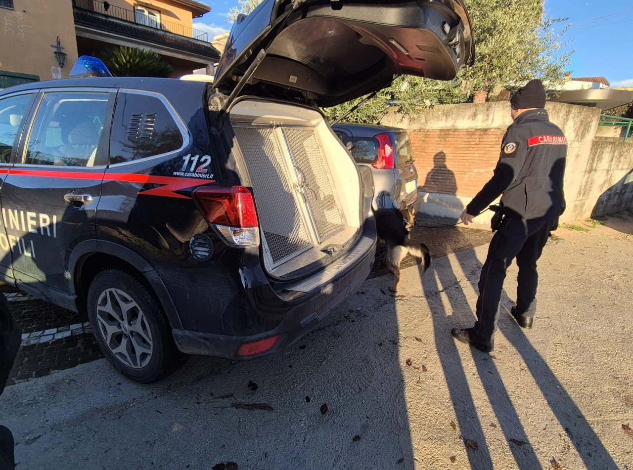 Verifiche nel weekend: denunce, segnalazioni per stupefacenti e chiusura di un locale