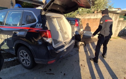 Verifiche nel weekend: denunce, segnalazioni per stupefacenti e chiusura di un locale