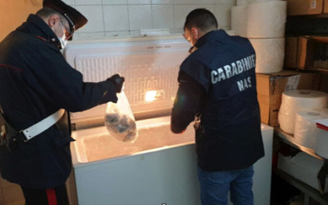 Carni, sequestri e sanzioni da parte dei NAS di Latina