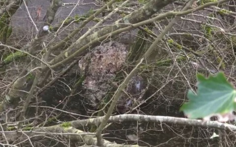 Chiusura della Cassino-Formia dopo il distacco di un masso