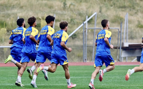 Frosinone attivo sul mercato in vista della Virtus Entella