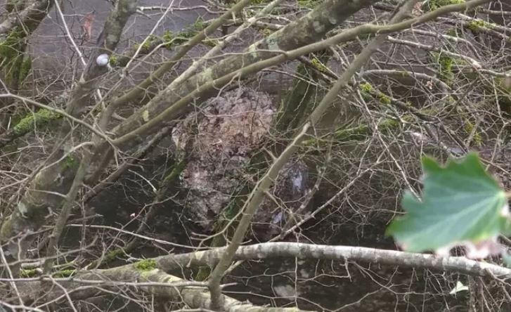 Rimane chiusa la Cassino-Formia: attesa per il sopralluogo dei rocciatori