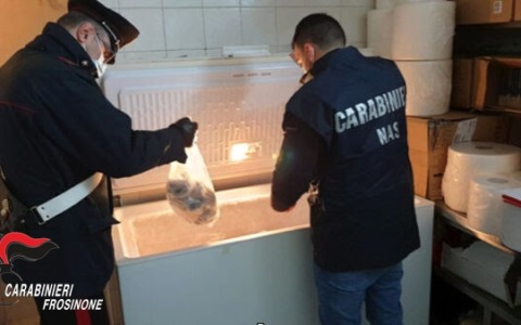 Chiusura di una macelleria e sequestro di 150 chili di carne nel frusinate