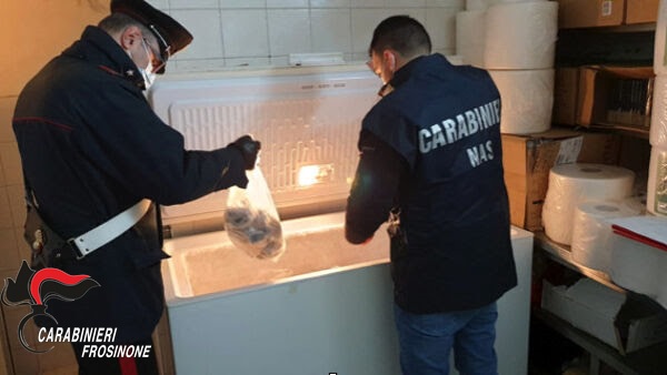 Chiusura di una macelleria e sequestro di 150 chili di carne nel frusinate