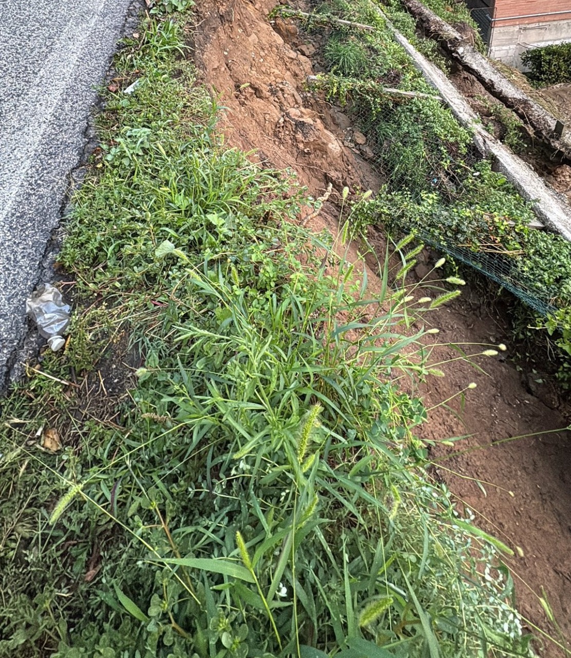 Proseguono i lavori per rimuovere i detriti dalle strade colpite da frane