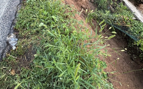 Proseguono i lavori per rimuovere i detriti dalle strade colpite da frane