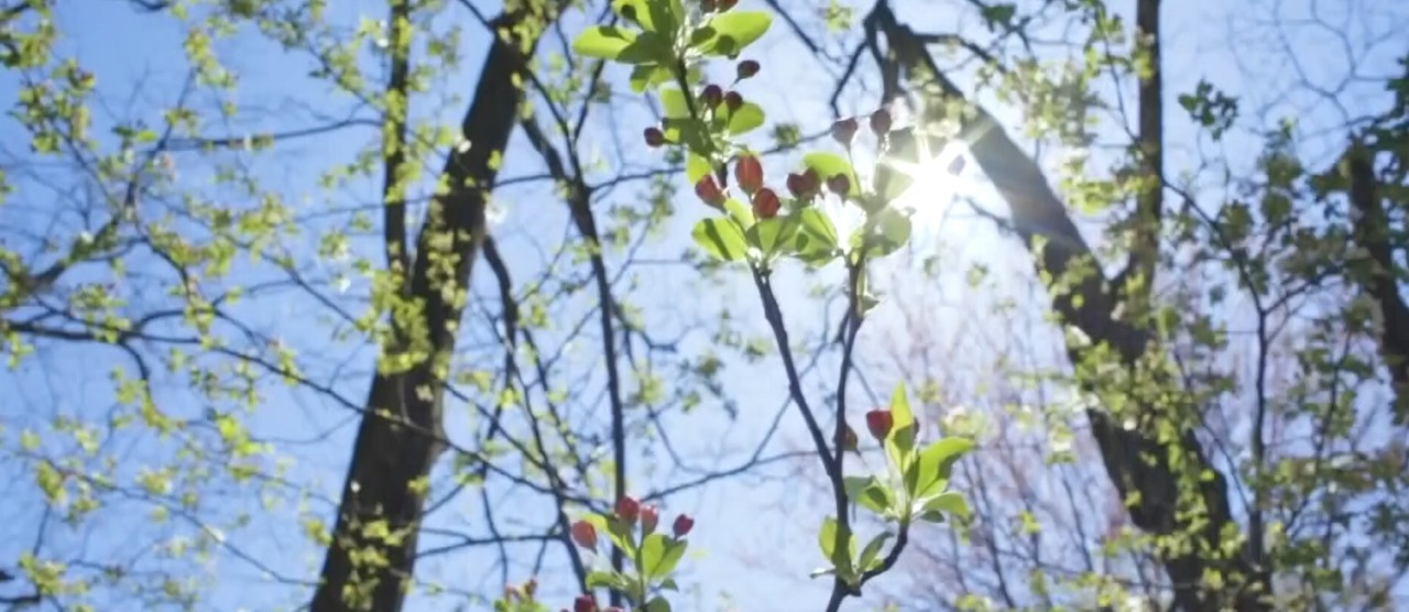 Temperature superiori alla media, allerta per nebbie e valanghe in montagna