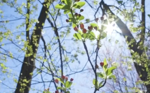 Temperature superiori alla media, allerta per nebbie e valanghe in montagna
