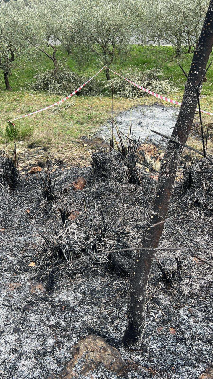 Denunciato un uomo per incendio in uliveto ad Alatri
