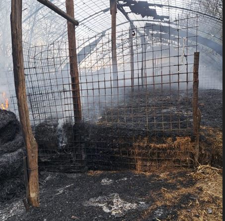 Fiamme distruggono una stalla: ottanta ovini perdono la vita