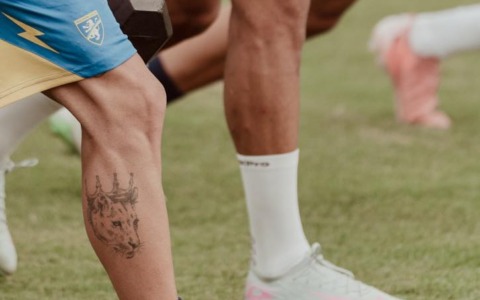 Il Frosinone ospita il Bari nella 31esima giornata