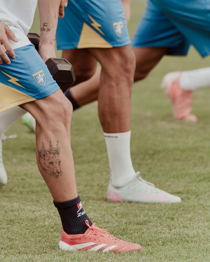 Il Frosinone ospita il Bari nella 31esima giornata