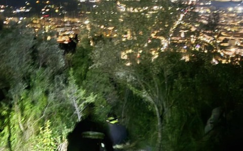 Minorenne si smarrisce nel bosco dopo essere stato inseguito da cinghiali