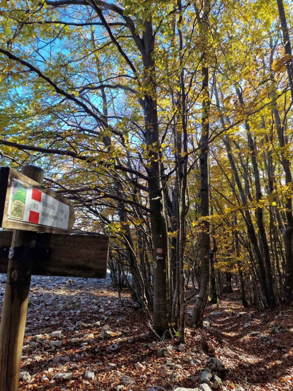 Monti Aurunci, il CAI organizza una giornata di manutenzione dei sentieri