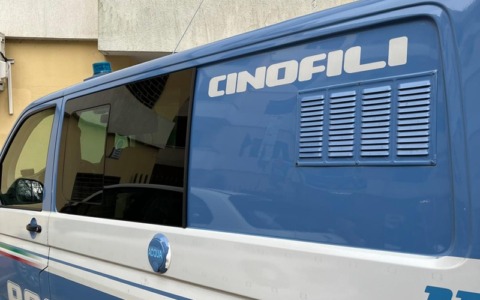 “Scuole sicure”, la polizia intensifica i controlli per combattere lo spaccio di droga