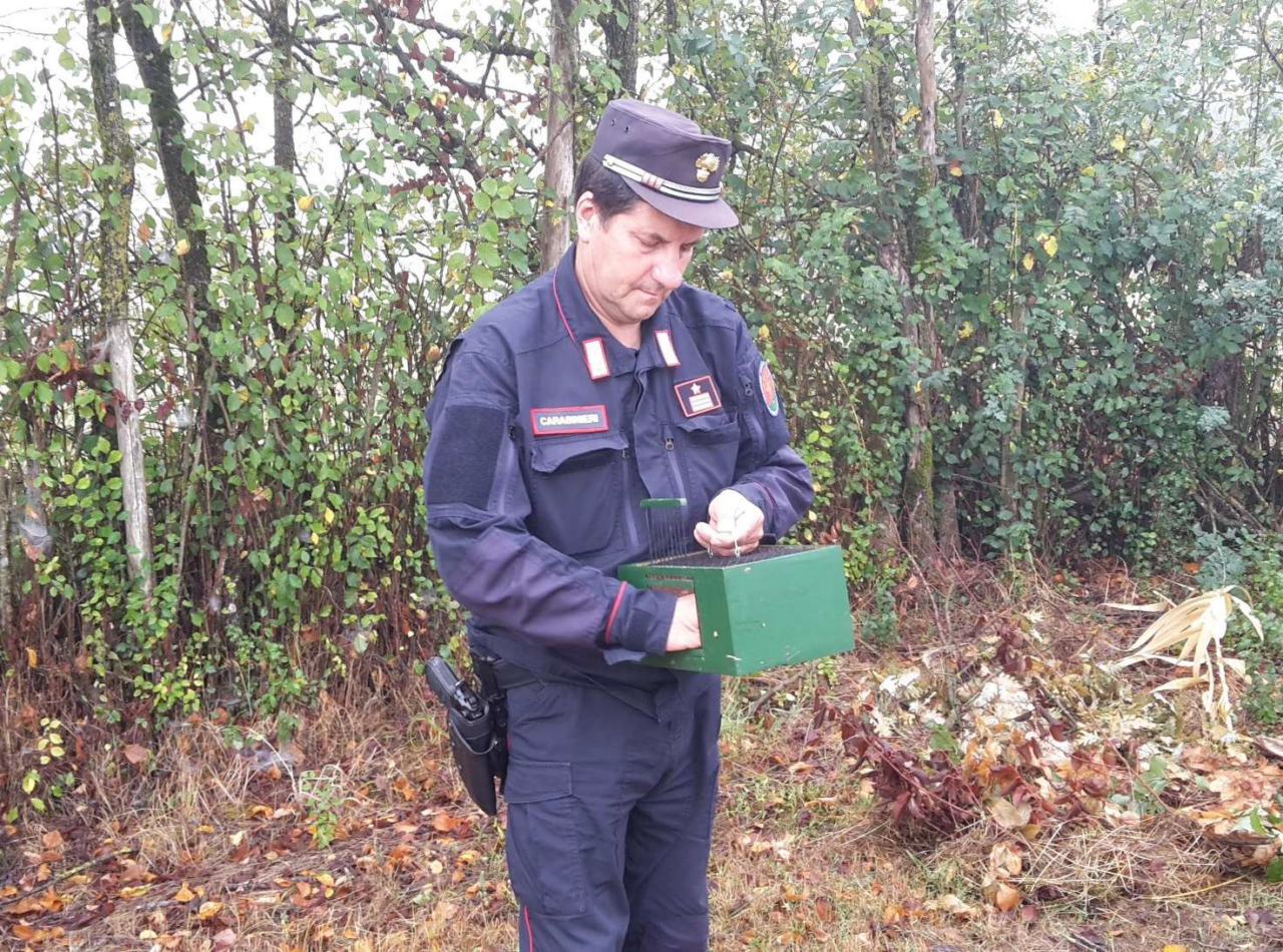 Controlli dei Nuclei Carabinieri Forestali sulla caccia: oltre 500 cacciatori monitorati
