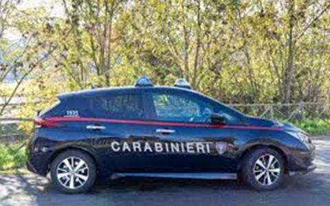 Denunciata per il taglio di alberi di castagno e quercia per un laghetto artificiale