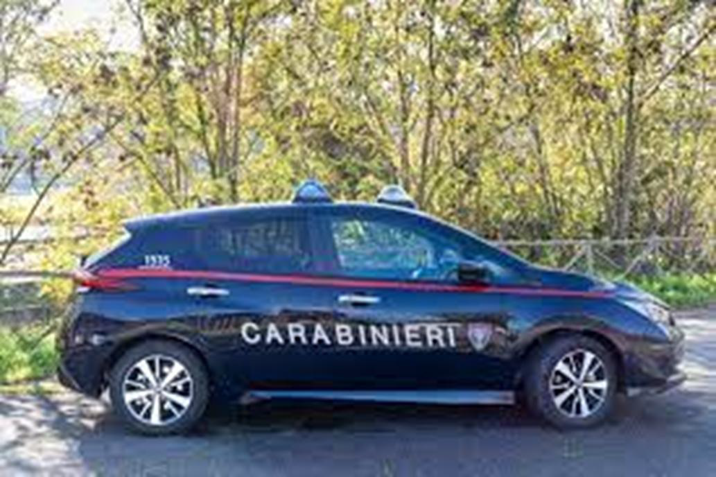 Denunciata per il taglio di alberi di castagno e quercia per un laghetto artificiale