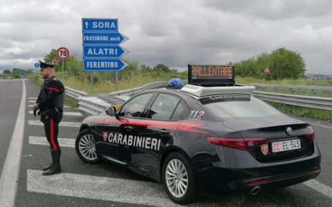 Denunciati i responsabili del furto di ulivi secolari ad Alatri