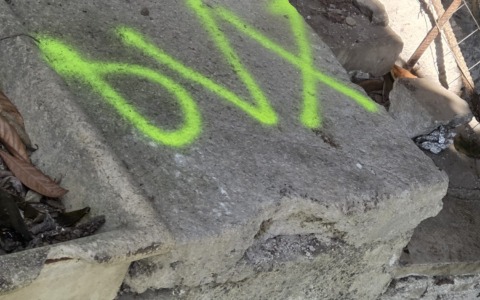 “Horti di Porta Paldi”: vandalismo in aumento