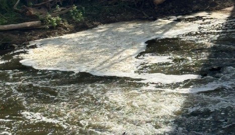 Nuove segnalazioni di schiuma nel fiume Sacco