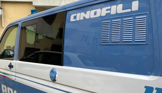 Operazioni congiunte della Polizia e unità cinofile a Frosinone