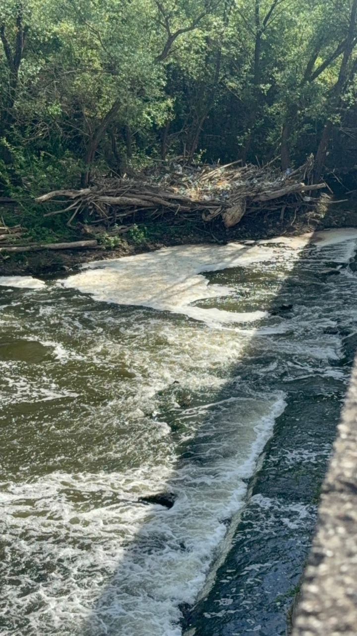 Ritorna lo sversamento nel fiume Sacco: acque ricoperte di schiuma