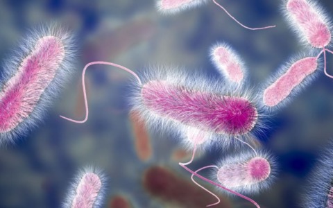 Scoperta Legionella in albergo, il sindaco emana un’ordinanza