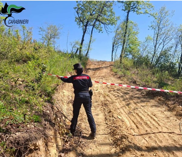 Scoperta una strada abusiva in area protetta, il responsabile denunciato